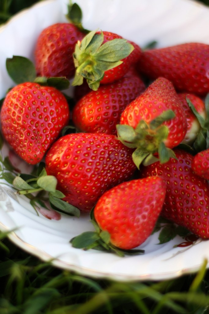 strawberries1 resized